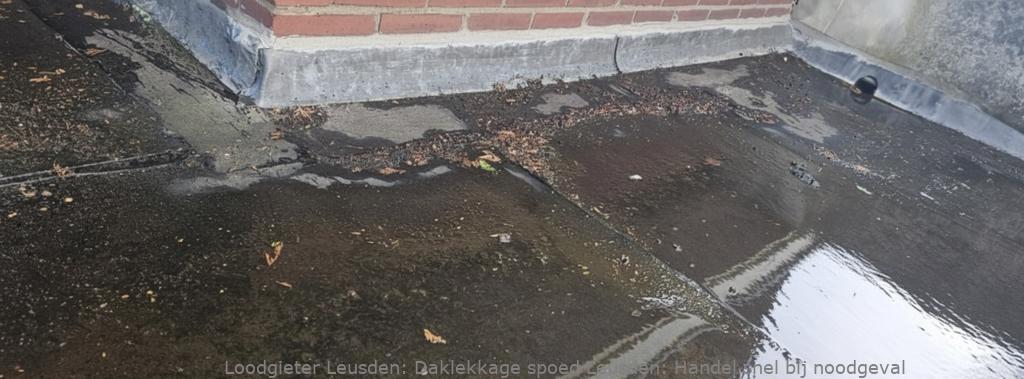 Daklekkage spoed Leusden: Handel snel bij noodgeval