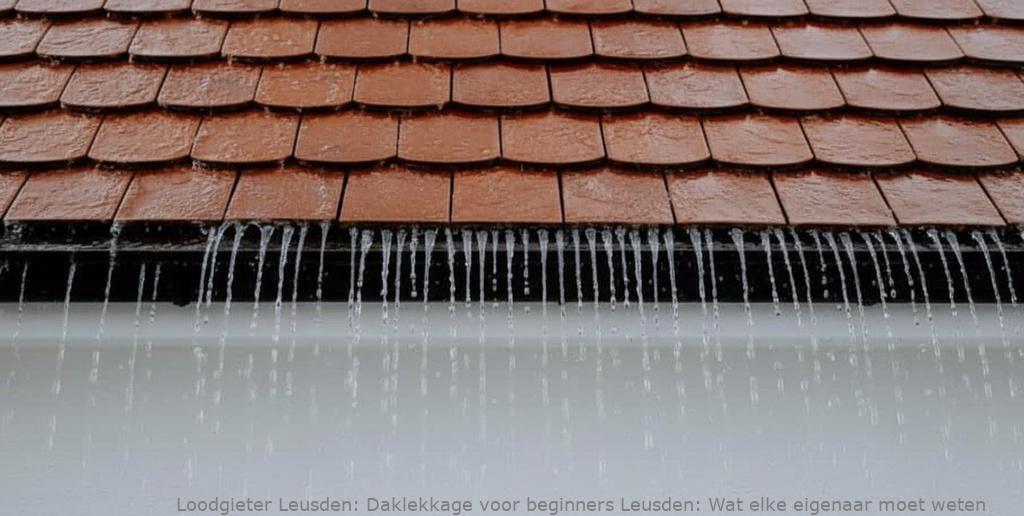 Daklekkage voor beginners Leusden: Wat elke eigenaar moet weten