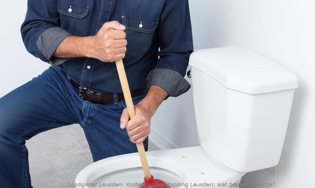 Kosten wc ontstopping Leusden: wat bepaalt de prijs?