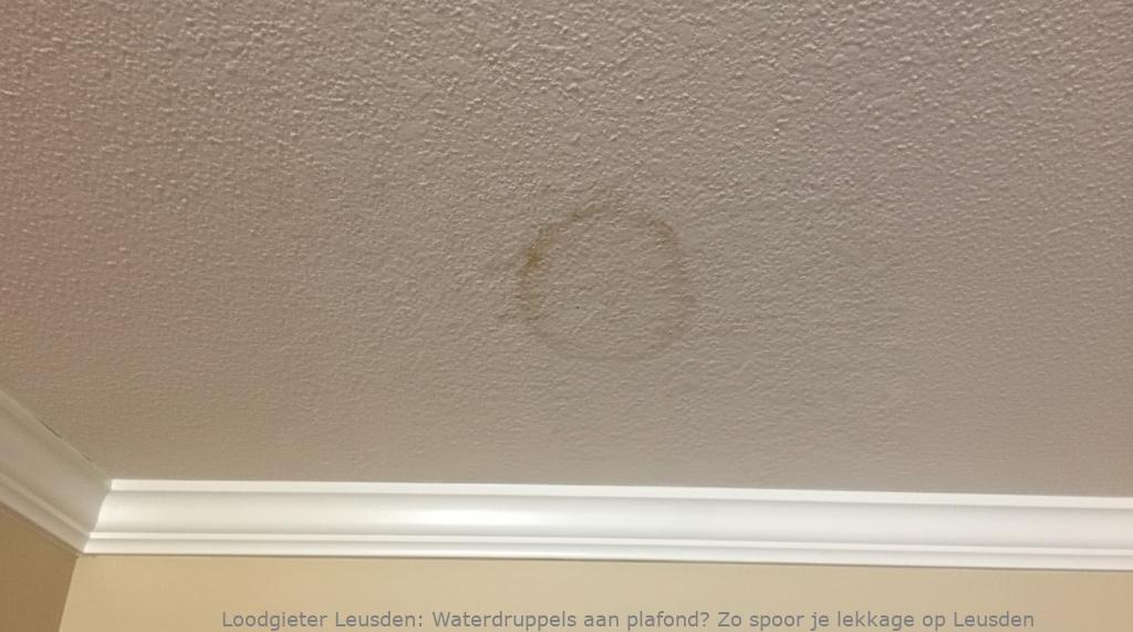 Waterdruppels aan plafond? Zo spoor je lekkage op Leusden