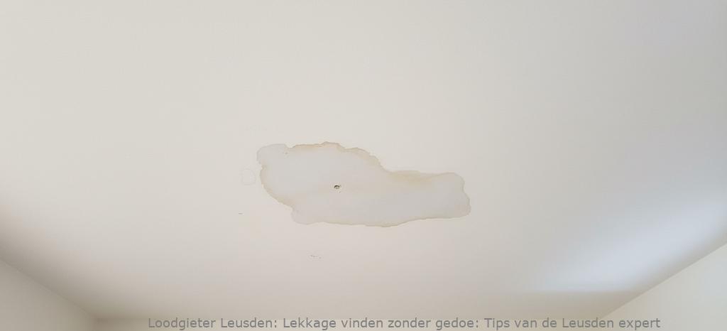 Lekkage vinden zonder gedoe: Tips van de Leusden expert
