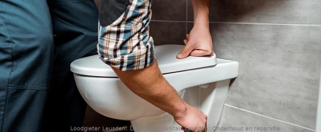 Loodgieter sanitair Leusden: Onderhoud en reparatie